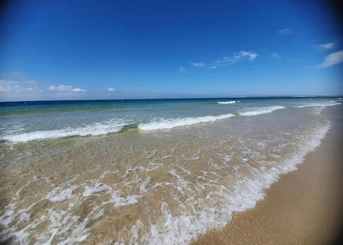 Atico Bahia De La Plata